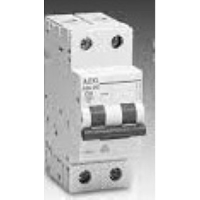 AEG 552808 Automatic Switch 2 Mod. 1P+N C 6A 6KA Elfa E91C06N