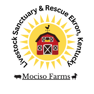 MocisoFarms Livestock Sanctuary & Rescue