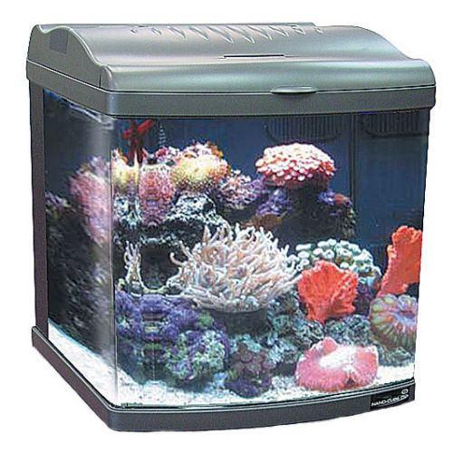 【美品】ZOOX Reef Nano 3 ZOOX Reef nano 3 – ZOOX