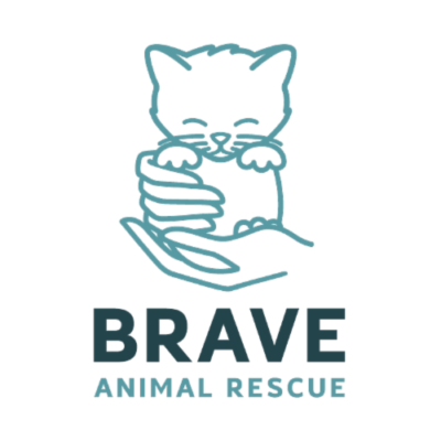 Brave Animal Rescue