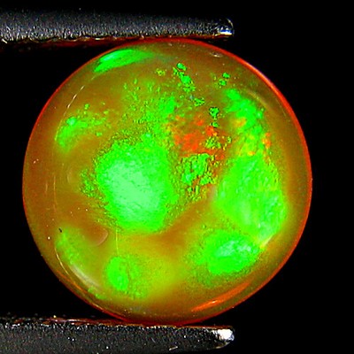 1.35Ct GLITTERING MULTI FLASHY ! 3D HARLEQUIN PATTERN SUPERB WELO OPAL