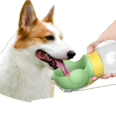 Dog water tray 2025
