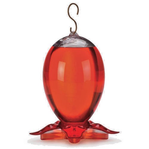 More Birds Joy Hummingbird Feeder, 28 oz         G2