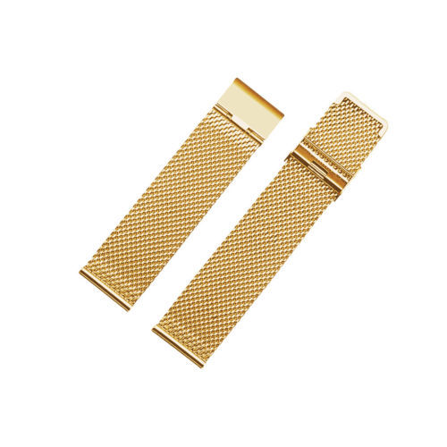 Apple Gold Plated Wristwatch Bands