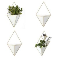 Dekoteller & -schalen im Modernen Stil