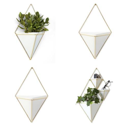 Dekoteller & -schalen im Modernen Stil