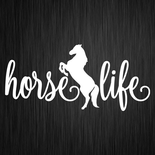 Free Free Horse Life Svg 704 SVG PNG EPS DXF File