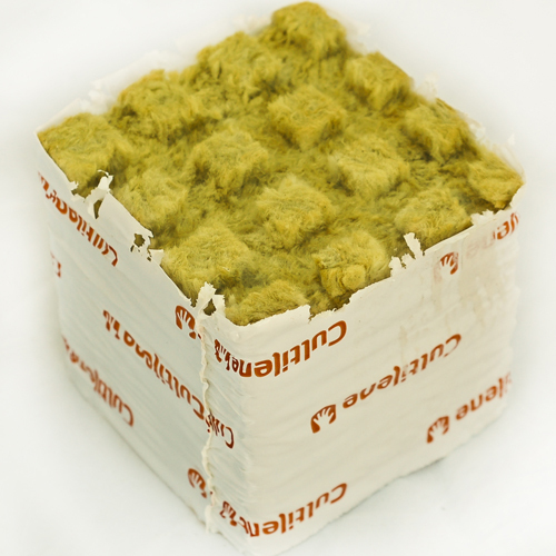 Cultilene 4" x 4" Rockwool Blocks Stonewool Starter Cubes SAVE $$ W ...