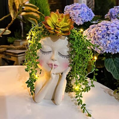 Succulent Planter Li