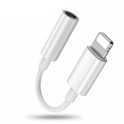 USB Type C Female to iOS Male Adapter For iPhone 14/13/12/11/XR/XS/SE 3 lot
