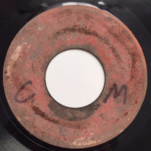 DJ/toasting Reggae, Ska y Dub discos de vinilo en vivo