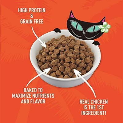 Tiki Cat Born Carnivore Grain-Free, Low-Carbohydrate Dry ...
