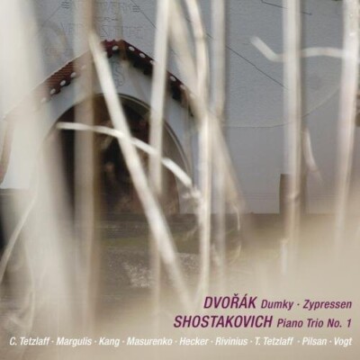 Dvorak / Tetzlaff / Masurenko / Vogt - Dumky & Cypresses [New CD]
