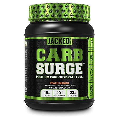 CARB Surge Carbohydrate Powder Clean Workout Fuel w