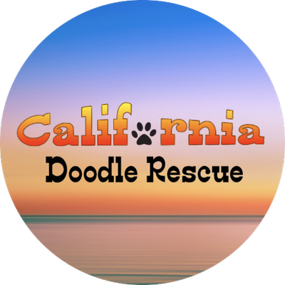 California Doodle Rescue