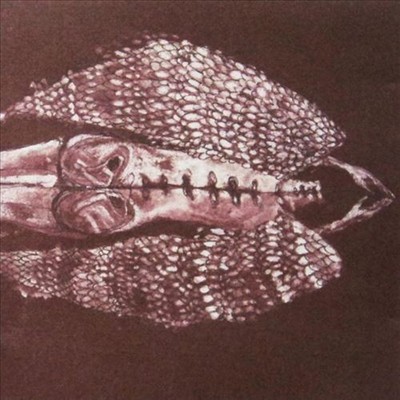 CERBERUS SHOAL - CERBERUS SHOAL (2LP-BLACK) NEW VINYL RECORD