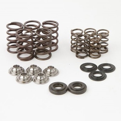 Hot Cams HotCams Raptor 660 Race Valve Spring Kit SKYFM660S2 2001-2005 56-0172