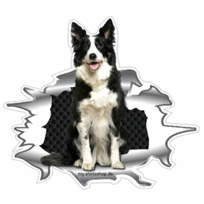Mein Bester Freund an Bord-Border Collie Vinyl-Aufkleber Sticker für Auto 10cm