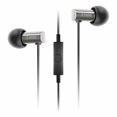 Final FI-E3DSSC E3000C Canal type earphone Controller with microphone Silver NEW