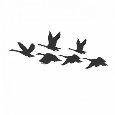 Wildgänse im Flug Aufkleber Zugvögel