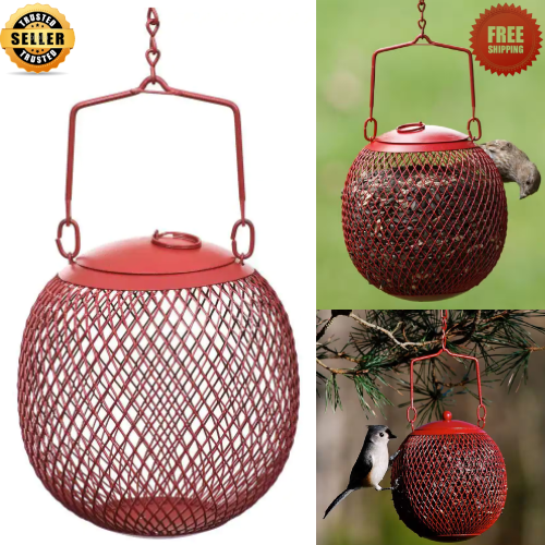 Wild Seeds Metal No/no 1.2 Lbs Capacity New