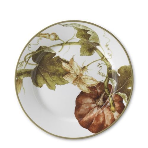 Williams-Sonoma Dinnerware Plates