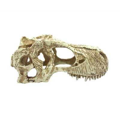 Komodo T-Rex Skull Reptile Hideout  Tan, 1 Each/Large