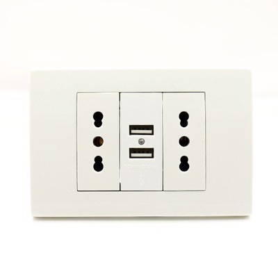 Usb Wall Power Socket Plug Double Socket with Usb 1000mA USB Charger Port 