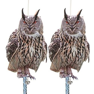 kungfu Mall 2Pcs Bird Scare Reflective Hanging Decoration Cardboard Effective...