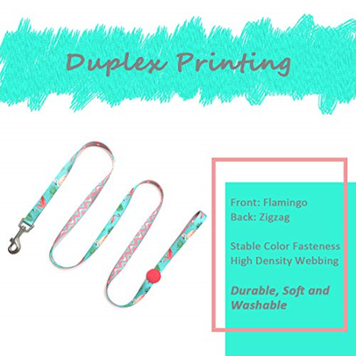 azuza Dog Collar and Leash Set, Pattern Printing,Adjustable Nylon Collar with M