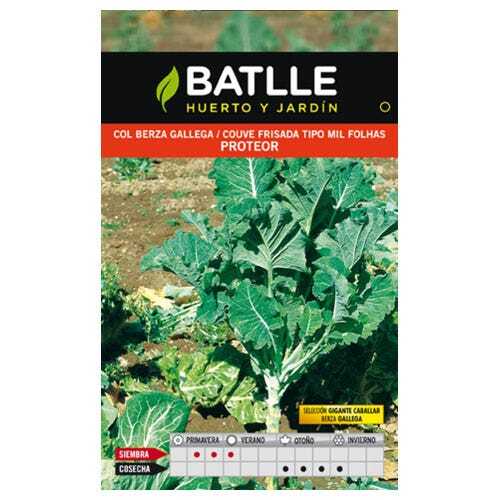 Semences Horticoles De Batlle - Chou GéAnt Caballar Proteor (10g)