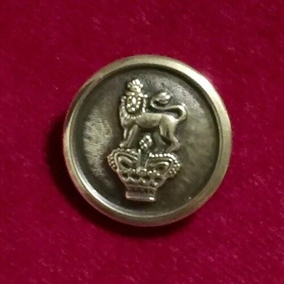 Royal Marines Gold Tone Metal Buttons Lion On Crown Lot of 7