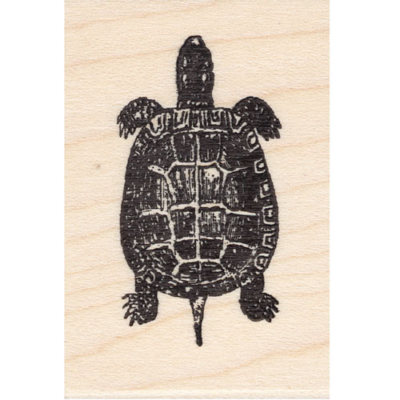 Top View Turtle Beeswax Rubber Stamp Mounted Reptiles Animals Wildlife Nature