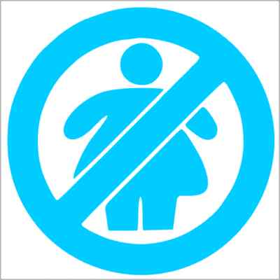 No Fat Chicks Vinyl Decal / Sticker 2(TWO) Pack