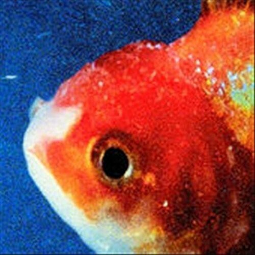 Big Fish Theory by Vince Staples (CD, 2017) for sale online