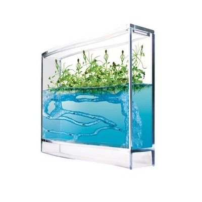 AmeisenPlantage mit Gewächshaus Samen & Ameisen Aquarium Ameisenfarm Geschenk