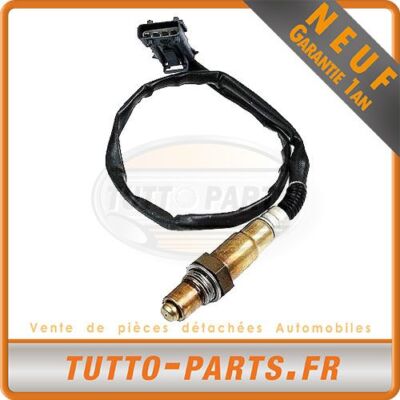 Sonda Lambda Porsche 911 - Dopo Catalizzatore