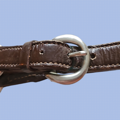 Vintage Billy Royal North and Judd Buckles Show Halter Horse Size