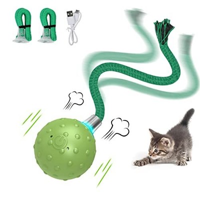 Interactive Cat Ball Toy,Motion Activated Automatic Moving Ball Toy with Long...