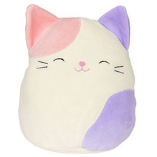  Squishmallow  Charlotte the Cat  5 tall and so cute 