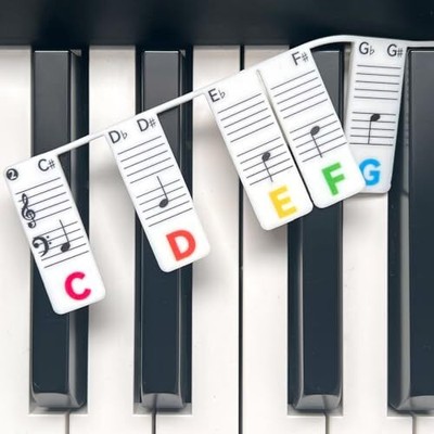  Piano Note Strips with Black Keys, Fit 88/76 Key Piano Keyboard 88Key-Rainbow