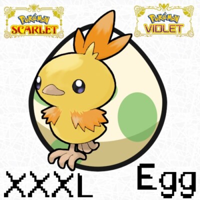 Torchic XXXL Shiny Egg Lv. 1 6IV Jumbo Mark Blaziken Pokemon Scarlet Violet SV