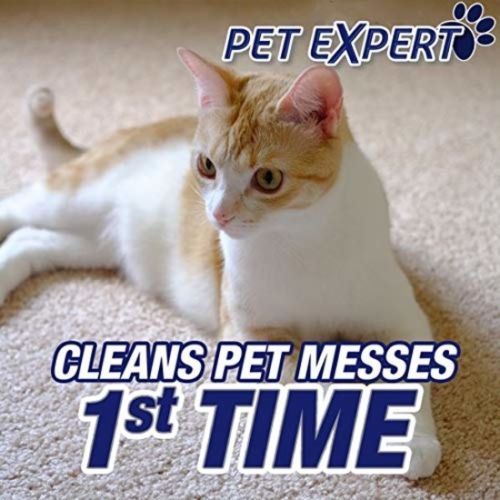Resolve Urine Destroyer Spray for Pet and People Stains and Odors 32 fl oz