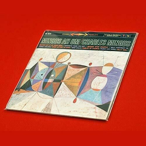 25 Protective Outer Sleeves 12? Vinyl Records - Clear Sleeves for LPs
