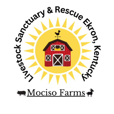 MocisoFarms Livestock Sanctuary & Rescue