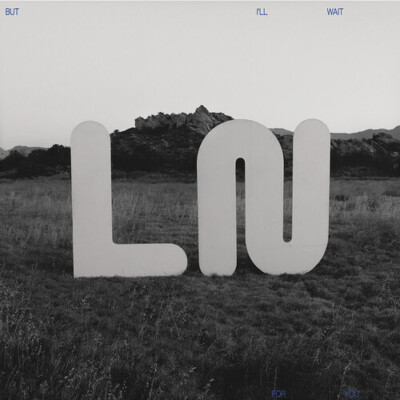 Local Natives - But I'll Wait For You [New CD]