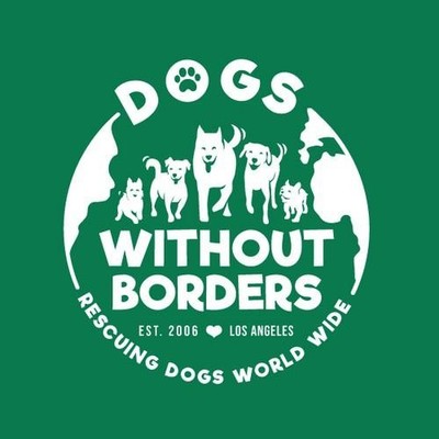 Dogs Without Borders