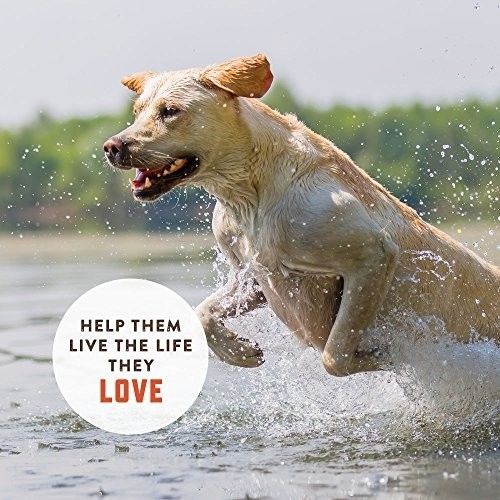 Rocco Roxie Hip and Joint Supplement - Glucosamine for Dogs with Chondroitin