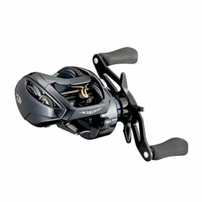 Daiwa 21 STEEZ A TW HLC 6.3L Left Handed Baitcasting Reel
