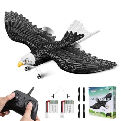 RC Eagle, 2 CH RC Plane Ready to Fly, 2.4GHz Remote Control Airplane, Easy to...